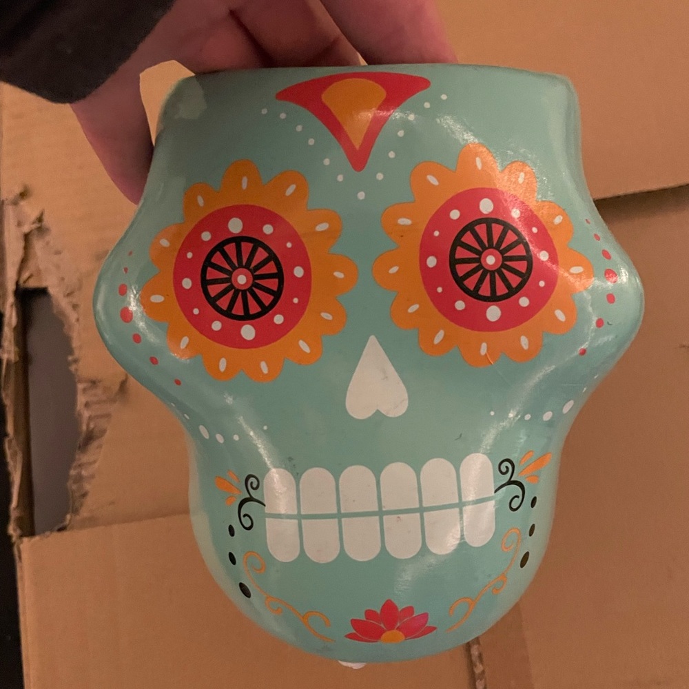 Skull planter pot